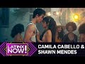 Camila Cabello & Shawn Mendes: More Than 'Senorita' Friends? Sparks Fly in Steamy Video & PDA Sightings