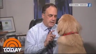 Dog Steals the Show During Live Weather Forecast on Local News